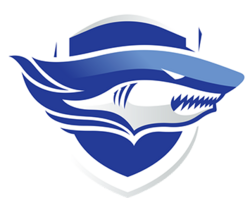 北碧府动力